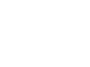 CustomWorks Logo
